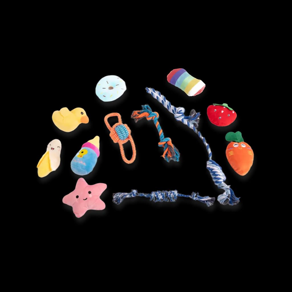 Juguetes de entrenamiento para cachorros 12 unidades